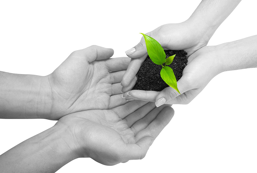 小七电话在线网页轰炸